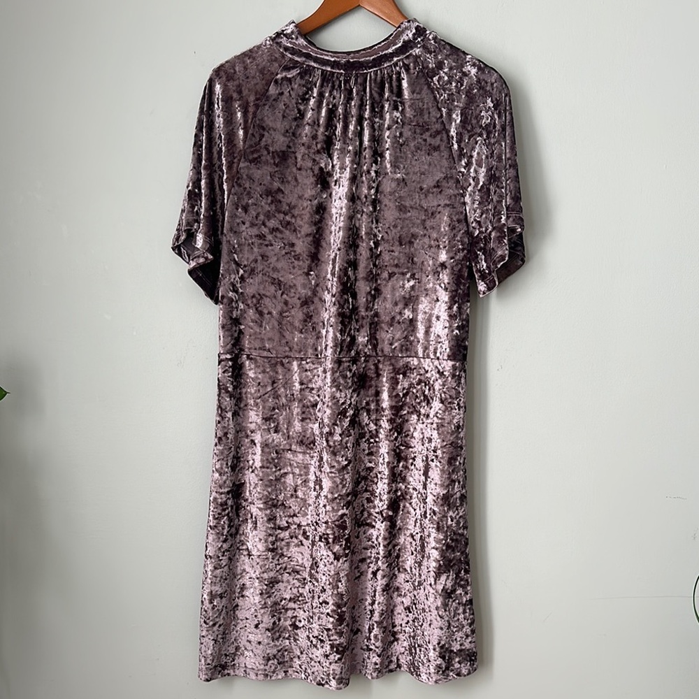 Chic Velvet Mini Dress in Mauve